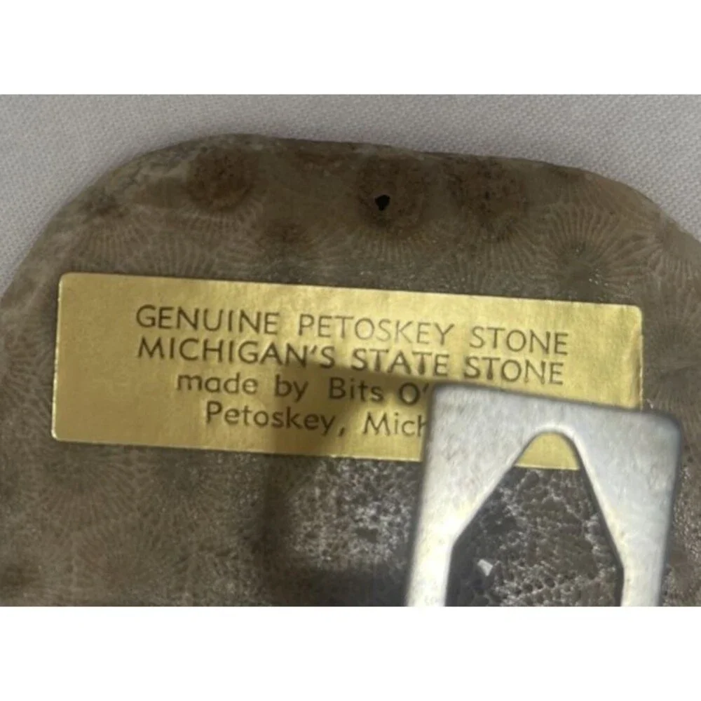 VTG Cut Stone Slab Hanging Wall Clock Geniune Petoskey Stone Michigan USA WORKS